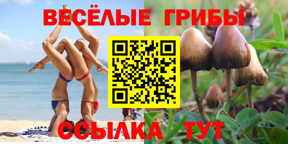 Галлюциногенные грибы Magic Shrooms  Вход с VPN  Галлюциногенные грибы мухоморы  Кириши 